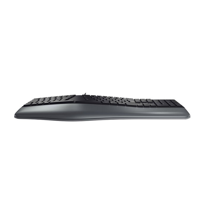 Cherry KC 4500 ERGO - Teclado Ergonómico con Reposamanos Viscoelástico, USB, Teclas Multimedia, Diseño Curvo, Plug & Play, Español Cherry KC 4500 ERGO - Teclado Ergonómico con Reposamanos Viscoelástico, USB, Teclas Multimedia, Diseño Curvo, Plug & Play, Español