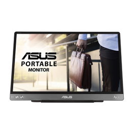Asus ZenScreen MB14AC 14 pulg. Full HD IPS Gris