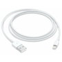 Apple Cable USB A a Lightning 0,5 m Blanco