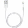 Apple Cable USB A a Lightning 0,5 m Blanco