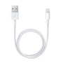 Apple Cable USB A a Lightning 0,5 m Blanco