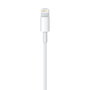 Apple Cable USB A a Lightning 0,5 m Blanco