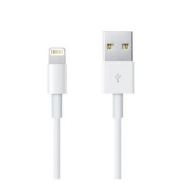 Apple Cable USB A a Lightning 0.5m (0.5 Metros) Blanco - Para Carga y Sincronización de iPhone, iPad, iPod