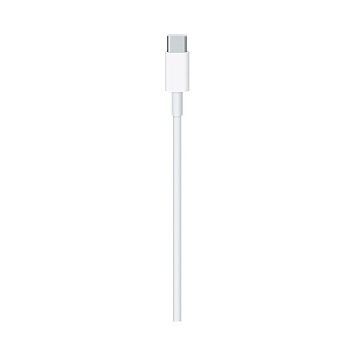 Apple Cable de Carga USB-C a USB-C 2m Blanco MLL82ZM/A Apple Cable de Carga USB-C a USB-C 2m Blanco MLL82ZM/A