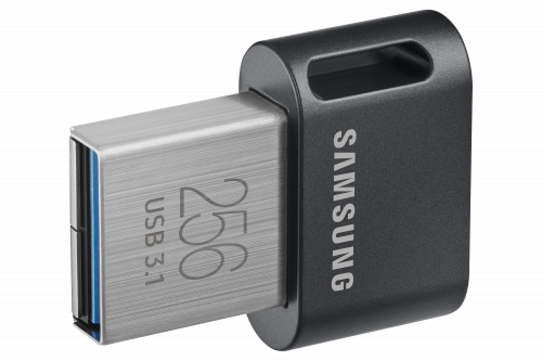 Samsung FIT Plus MUF-256AB/APC 256 GB Gris, Plata