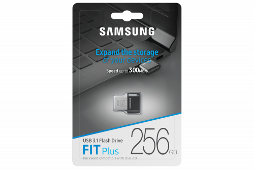 Samsung FIT Plus MUF-256AB/APC 256 GB Gris, Plata