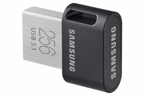 Samsung FIT Plus MUF-256AB/APC 256 GB Gris, Plata