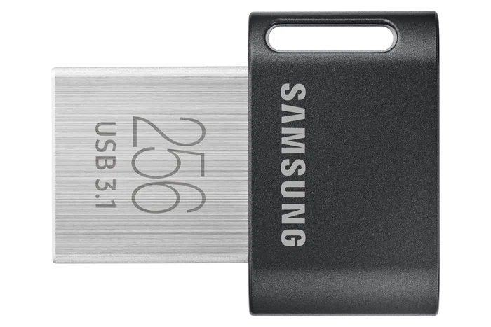 Samsung FIT Plus MUF-256AB/APC 256 GB Gris, Plata