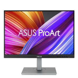 Asus 90LM05K1-B03370 Monitor ProArt PA248CNV 24.1" Full HD+ IPS Negro