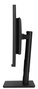 Asus ProArt PA328QV Monitor Profesional 31.5 WQHD IPS