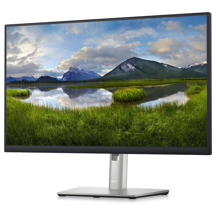 DELL P2423DE Monitor 24'' (61cm) 2560x1440 QHD IPS 8ms HDMI DisplayPort USB-C Hub (90W) USB VESA Pivot Negro/Plata