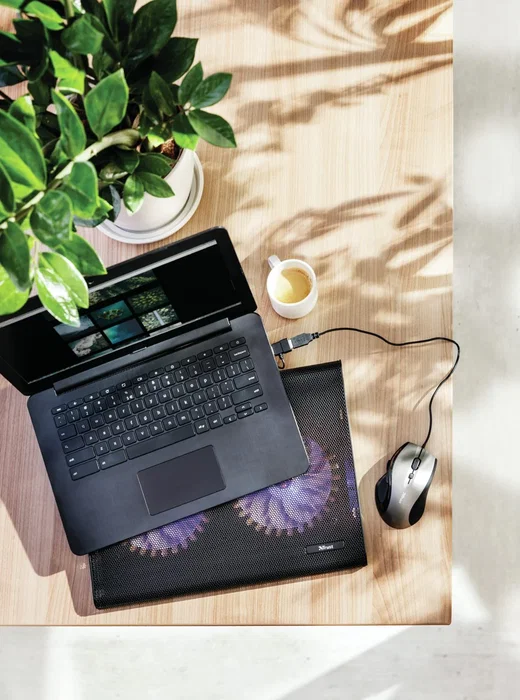 Trust 20104 Almohadilla Refrigeradora para Portátil con 2 Ventiladores USB y LED Azul, hasta 17.3", Diseño Inclinado con Puerto USB Extra Trust 20104 Almohadilla Refrigeradora para Portátil con 2 Ventiladores USB y LED Azul, hasta 17.3", Diseño Inclinado con Puerto USB Extra