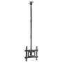 Equip Soporte de Techo para Pantalla 37-70 Pulgadas, Inclinable, Soporte Máximo 50 kg