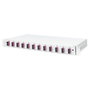 Digitus Caja de Empalme Fibra Óptica 1HE equipada 12x SC-DX OM4 Color Gris 44.5 mm Panel de gestión de cables en acero