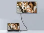 Equip Cable DisplayPort Macho a Macho 3m 4K/60Hz Negro