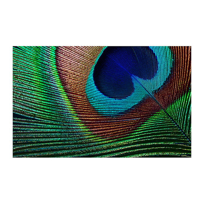 Epson EH-TW7000 Proyector 4K PRO-UHD 3000 Lúmenes ANSI 3LCD Blanco