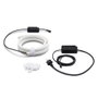 Philips Hue Tira de luz inteligente White & Color Ambiance para exteriores, 2m, RGBW