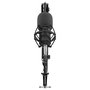 GENESIS Radium 300 XLR Micrófono de Estudio Negro