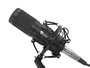 GENESIS Radium 300 XLR Micrófono de Estudio Negro