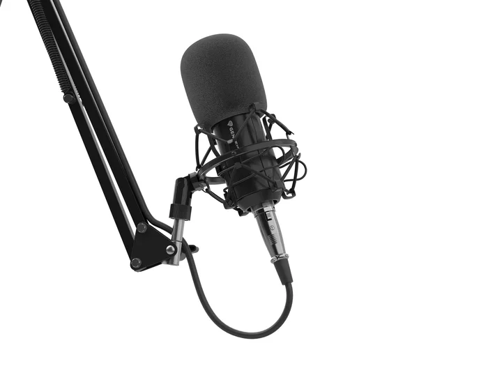 GENESIS Radium 300 XLR Micrófono de estudio Negro