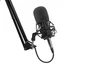 GENESIS Radium 300 XLR Micrófono de estudio Negro
