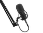 GENESIS Radium 300 XLR Micrófono de estudio Negro