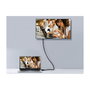 Equip Cable DisplayPort 1.4 8K 1m Negro