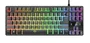 Trust GXT 833 Thado - Teclado Gaming USB Tenkeyless TKL Compacto con Iluminación LED Multicolor, Anti-Ghosting, 12 Teclas Multimedia, Layout Español, Color Negro/Plata