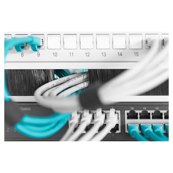 Digitus Regleta de Cepillos para Cables 1HE 24x423mm Gris