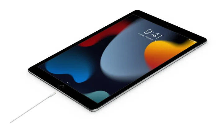 Apple MW2R3ZM/A Cable USB-C a Lightning 2 metros Blanco - Compatible con iPhone, iPad, iPod