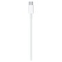 Apple Cable de Carga Lightning a USB-C (2 metros) MQGH2ZM/A