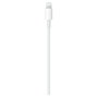 Apple Cable de Carga Lightning a USB-C (2 metros) MQGH2ZM/A