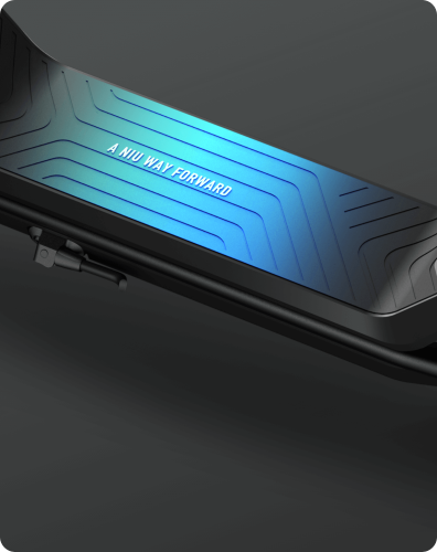 Patinete Eléctrico Niu KQi3 Sport Negro 600 W 300 W 48 V