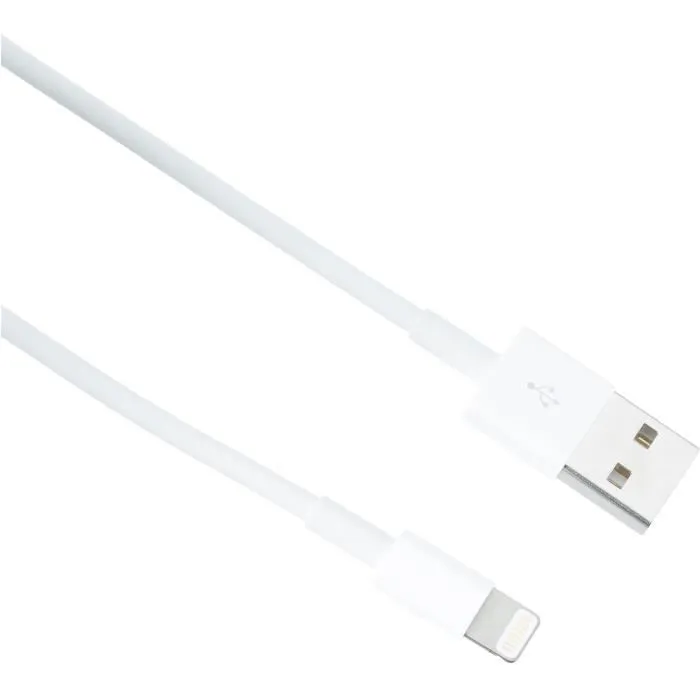 Apple Cable USB-A a Lightning de 2 m Blanco MD819ZM/A