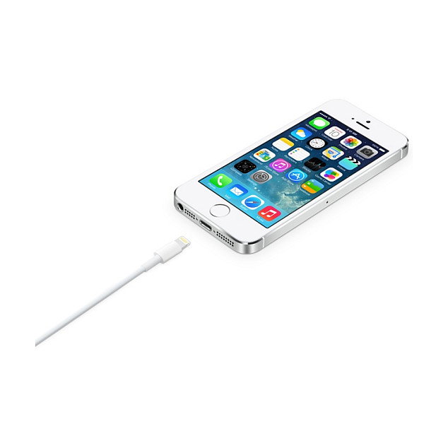 Apple Cable USB-A a Lightning de 2 m Blanco MD819ZM/A