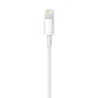 Apple Cable Lightning a USB 2m Blanco - Compatible con iPhone, iPad, iPod - MD819ZM/A