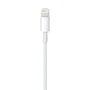 Apple Cable USB-A a Lightning 2 m Blanco