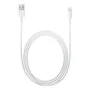 Apple Cable Lightning a USB 2m Blanco - Compatible con iPhone, iPad, iPod - MD819ZM/A