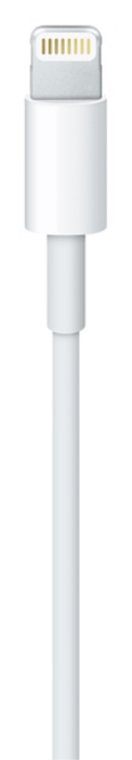Apple Cable USB-A a Lightning de 2 m Blanco MD819ZM/A