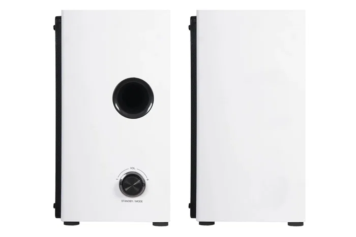 Fonestar CLASS-220B Altavoces Activos 2.0 para Piso, 2x20W RMS, Rango 60-20000Hz, Entradas AUX/RCA, Bluetooth 5.0, Mando, Color Blanco/Negro