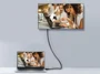 Equip Cable DisplayPort a DisplayPort 1.4 8K 2m Macho a Macho Chapado en Oro HDR 32.4Gbps