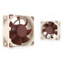 Noctua NF-A6x25 PWM Ventilador de 60 mm para Carcasa