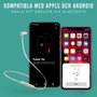 Apple Beats Flex Gris