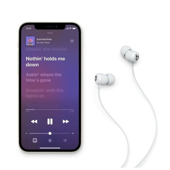 Apple Beats Flex Gris