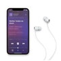 Apple Beats Flex Gris