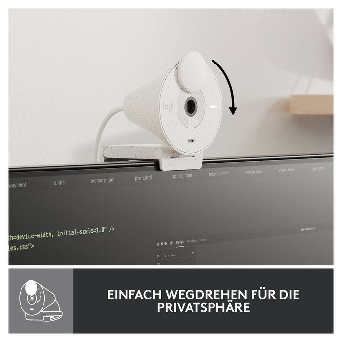 Logitech Brio 300 Webcam Full HD USB-C Blanco Crudo
