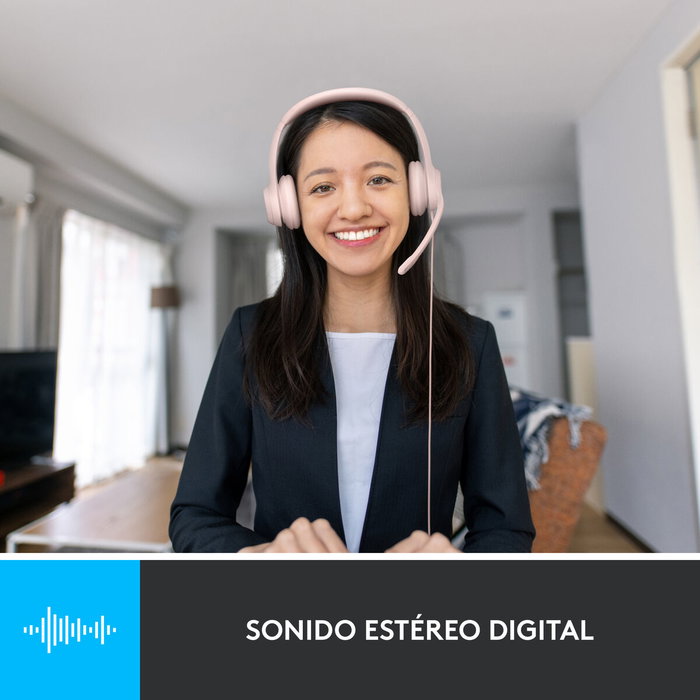 Logitech H390 Auriculares de Diadema USB-A Rosa