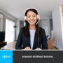 Logitech H390 Auriculares de Diadema USB-A Rosa