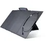 Panel solar fotovoltaico Ecoflow EFSOLAR160W Cargador Solar