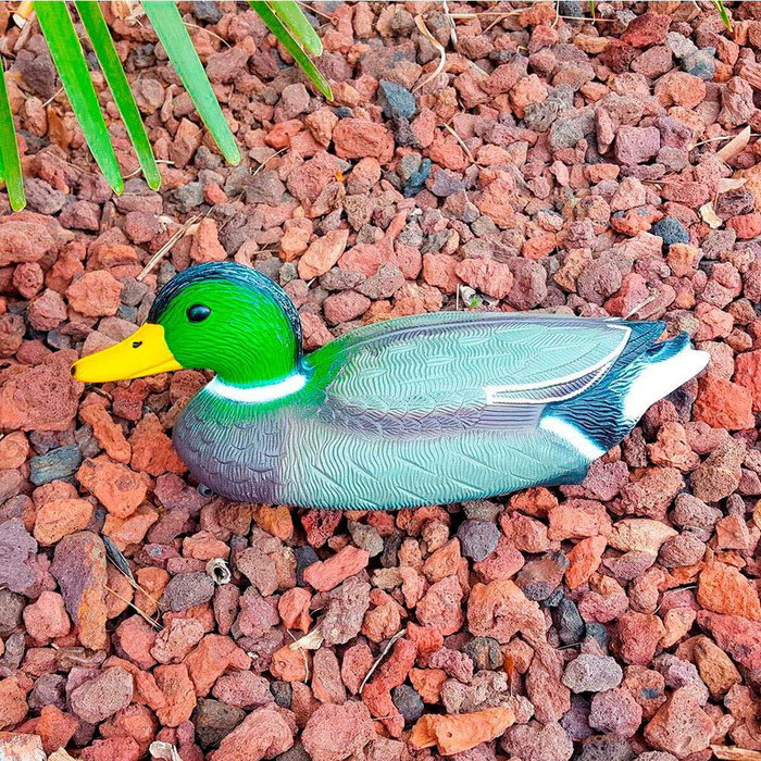 Edm Reclamo de pato cuello verde para aves